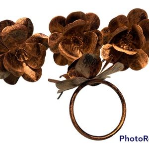 Bronze napkin rings